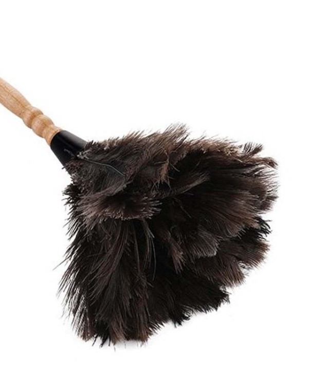 Dust Cleaning Brush