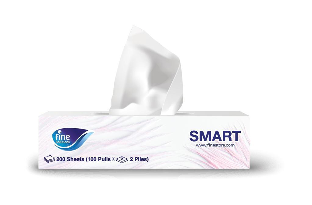 Fine Facial Tissues Smart 100x2plys - Pack of 66 Units